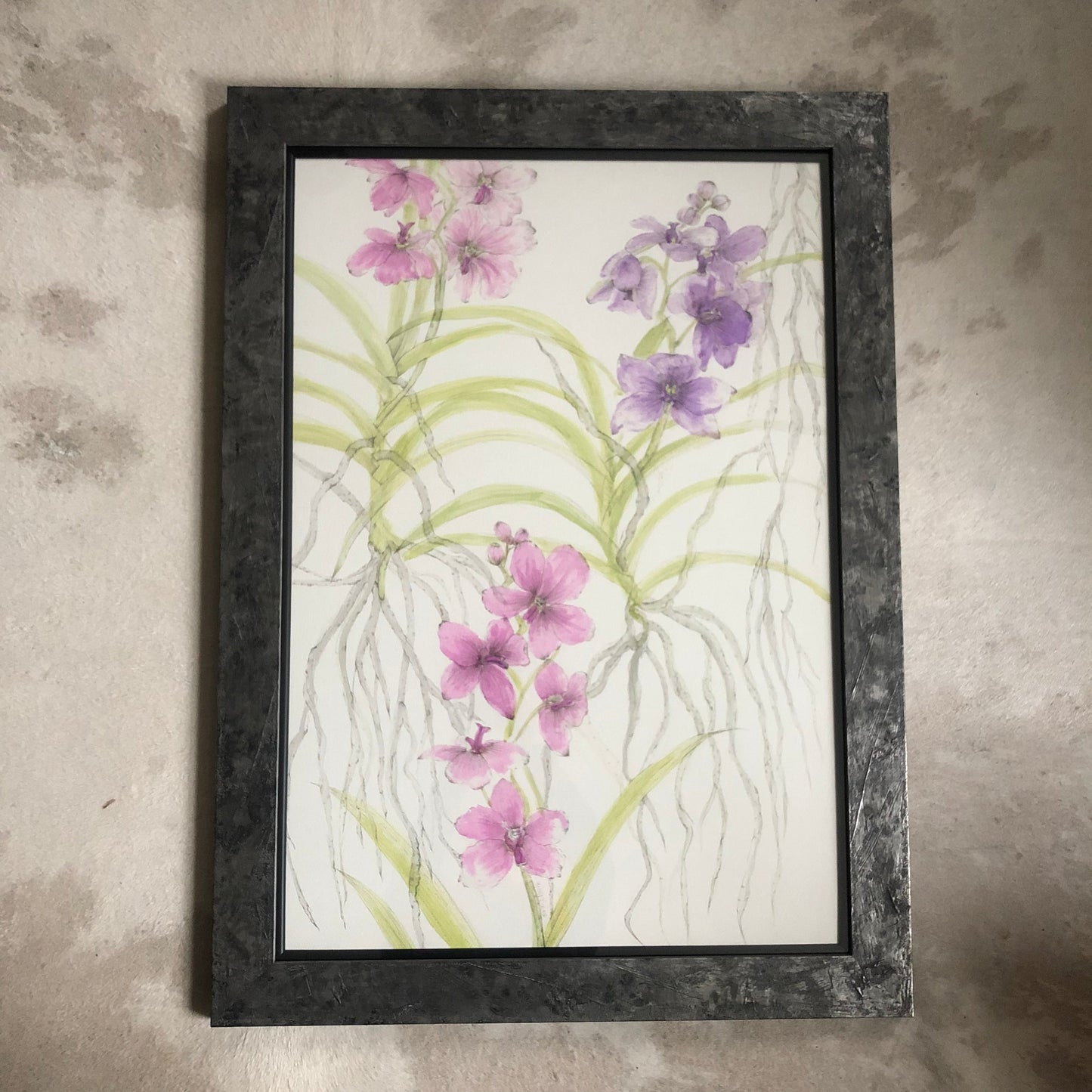 Vanda Orchids Ink Painting