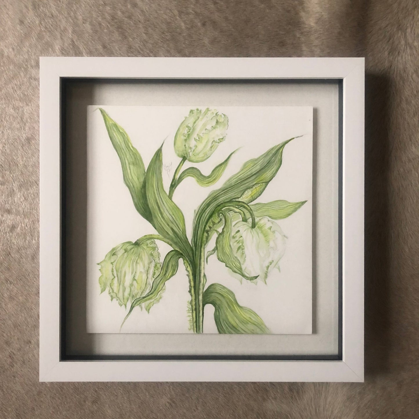 White Parrot Tulips Watercolour SOLD