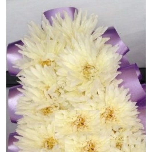 144 Artificial Cream Chrysanthemum Picks