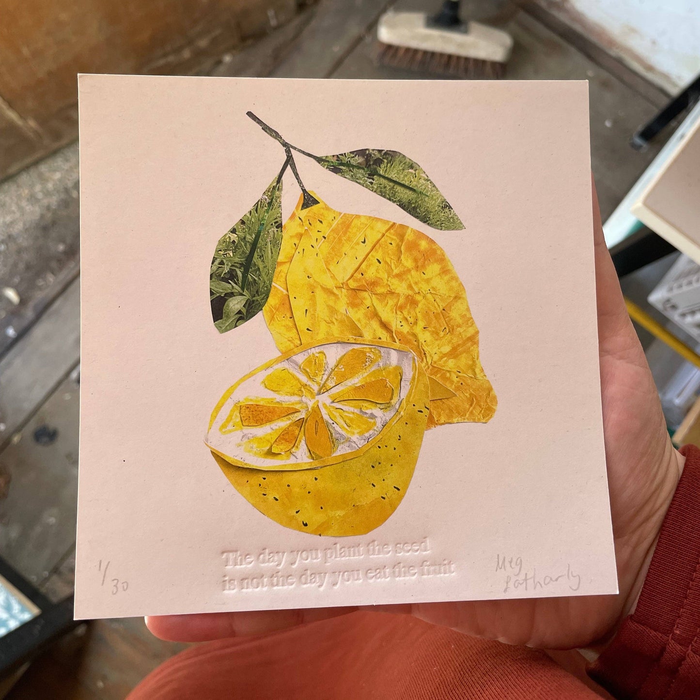 Limited Edition Lemon Collage Print