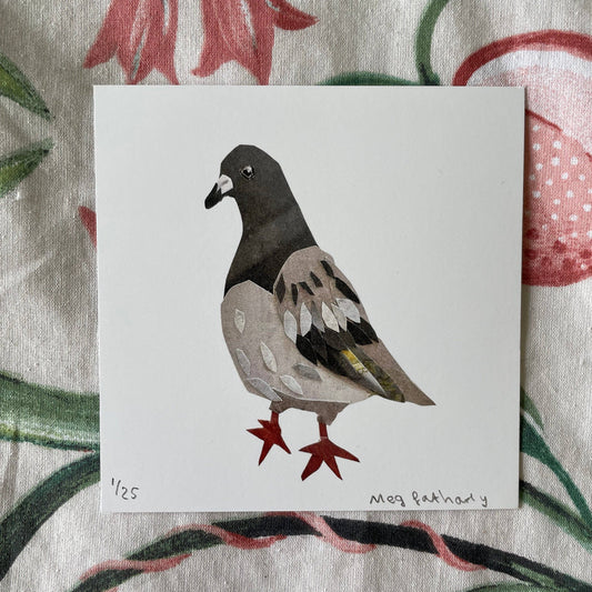 Limited Edition Collage Pigeon Print