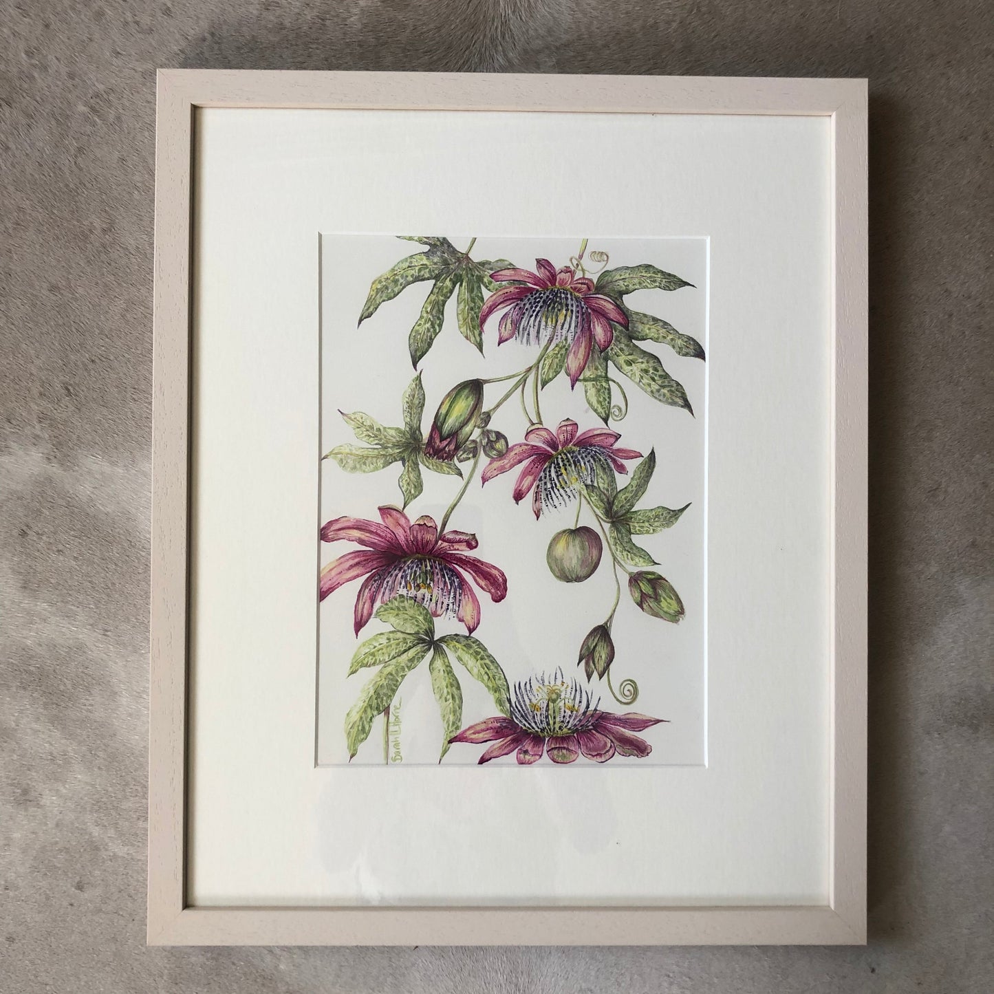 Pink Passiflora Watercolour