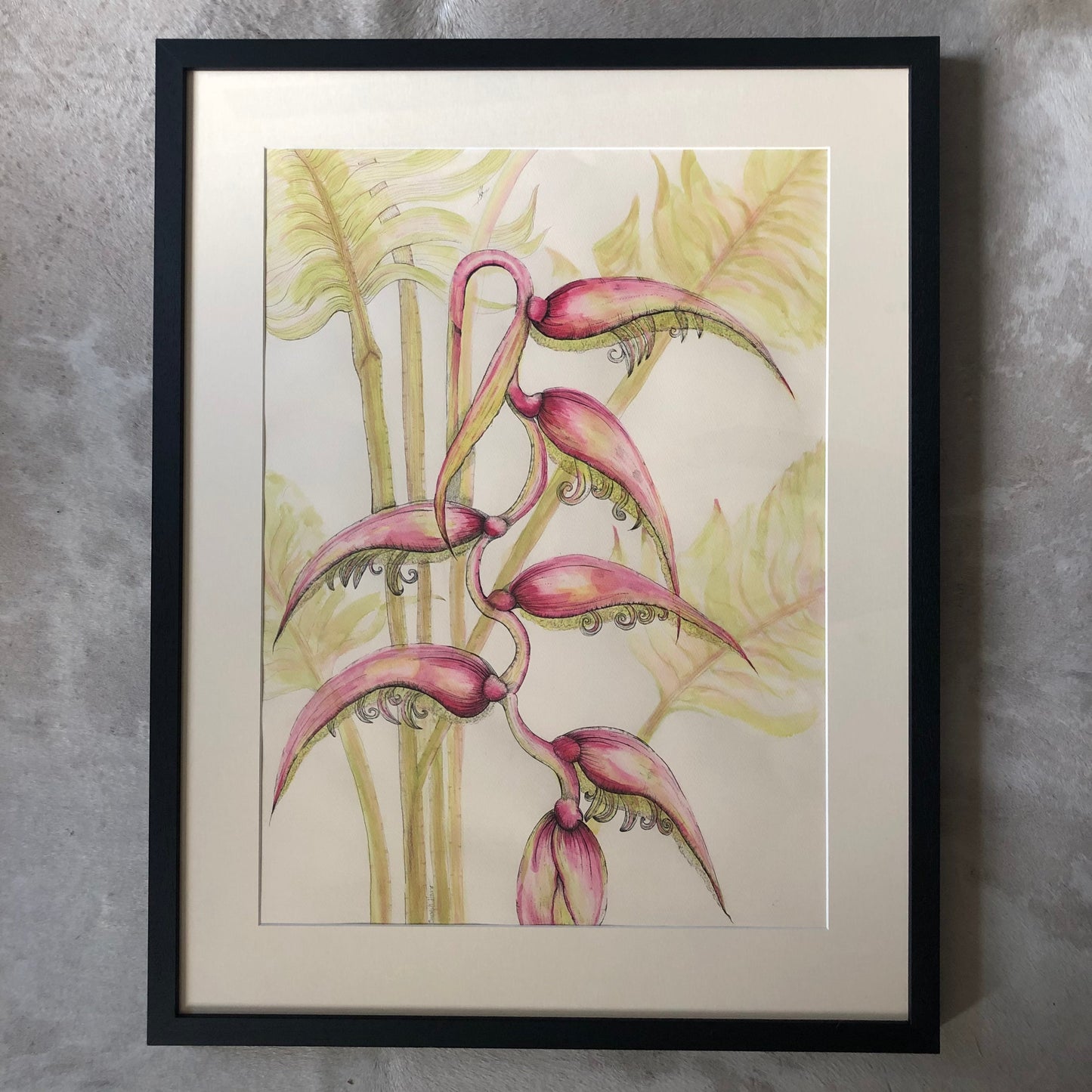 Sexy Pink Hanging Heliconia Ink Painting