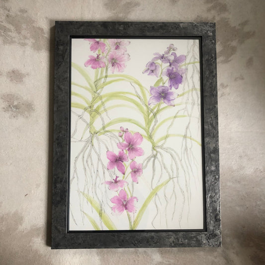 Vanda Orchids Ink Painting