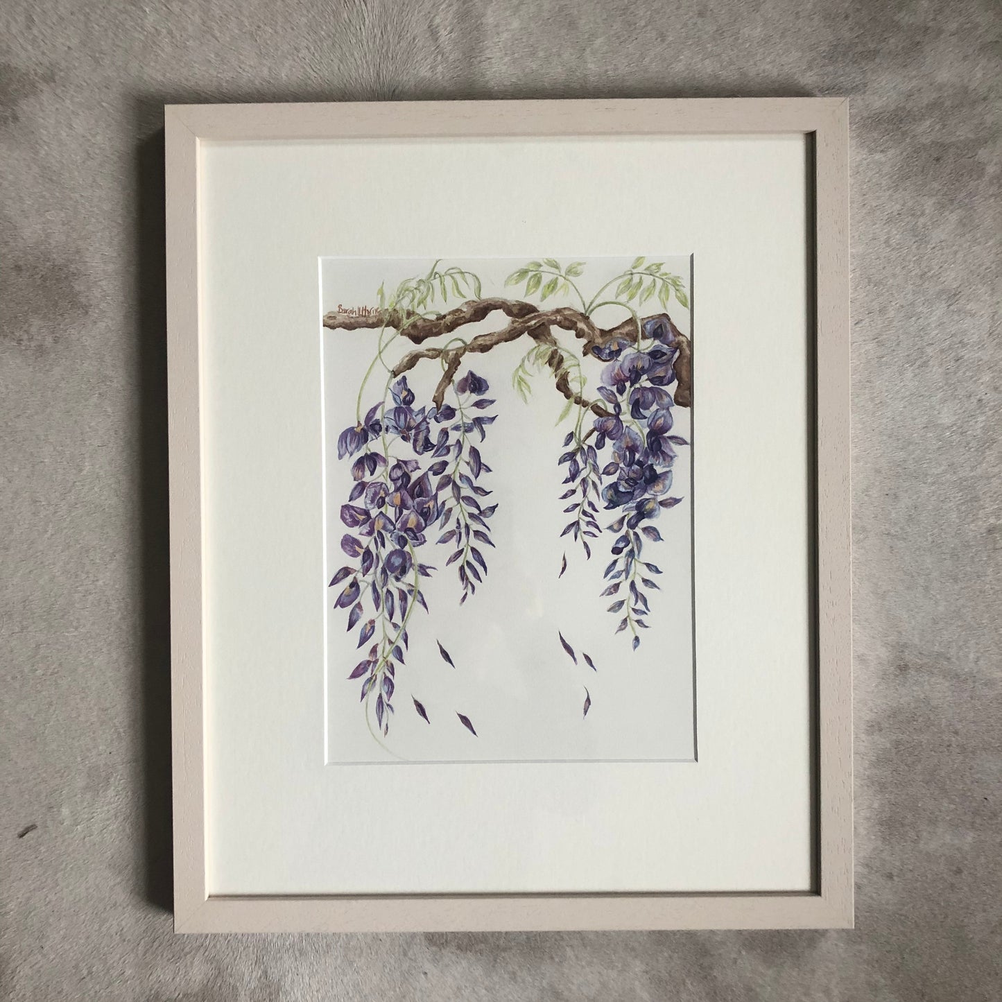 Wisteria Study Watercolour