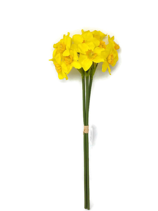 3 Stem Yellow Daffodil Bundle x 40cm