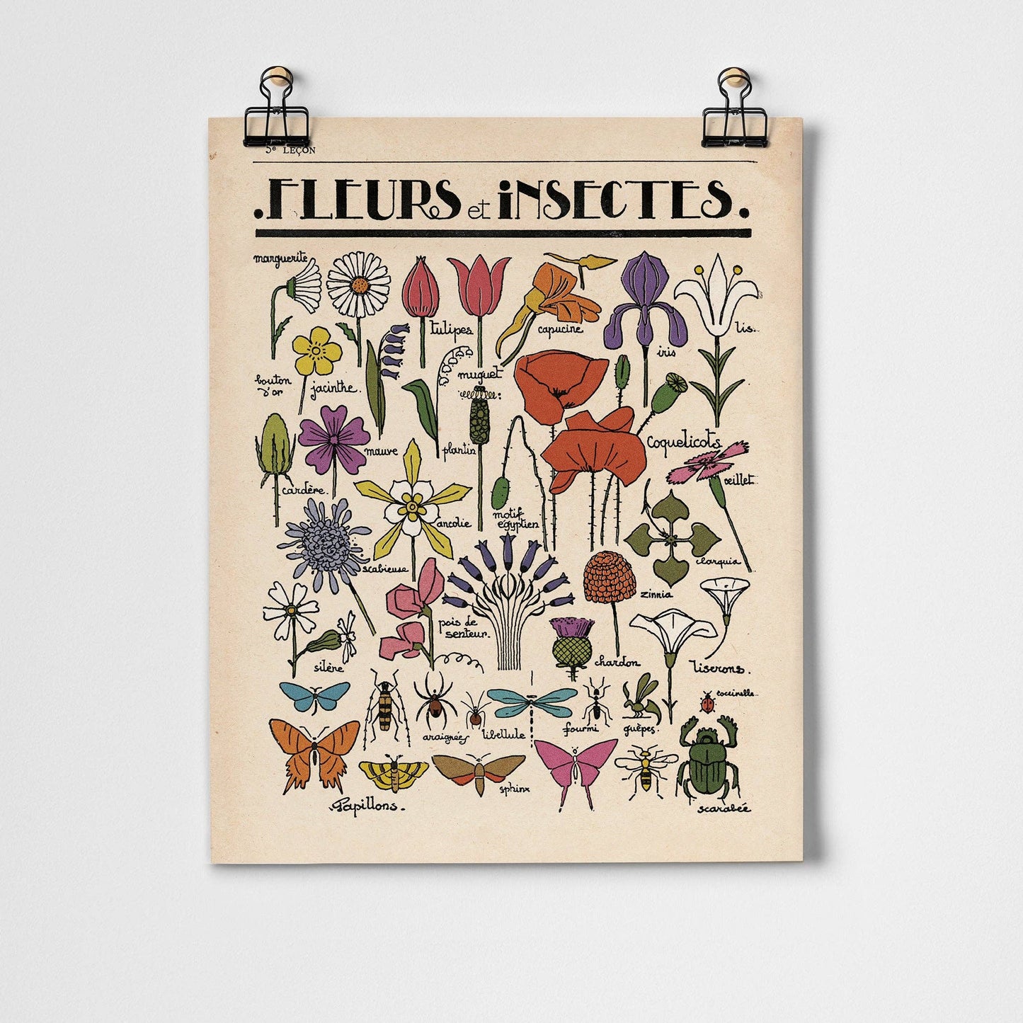 Fleurs et Insectes Fine Art Print | A3