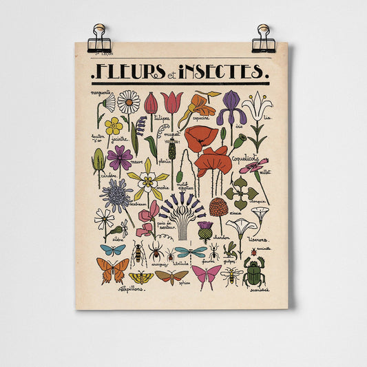 Fleurs et Insectes Fine Art Print | A3