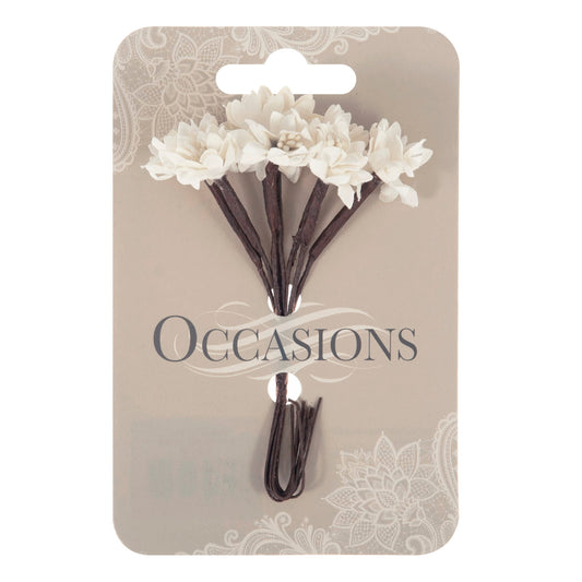 15mm Paper Sun Daisy, 8 Stems