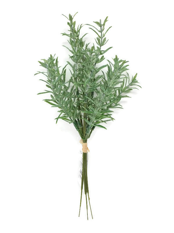 3 Stem Green Thyme Sprig x 25cm