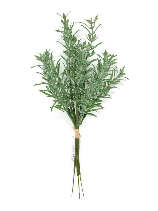 3 Stem Green Thyme Sprig x 25cm